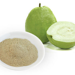 <b>GUAVA</b> POWDER Vietnamse Premium Quality <b>Guava</b> Powder Holiday - Product Image 1