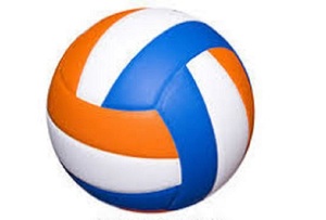 Entretenimiento de Netball de la bola - Product Image 5