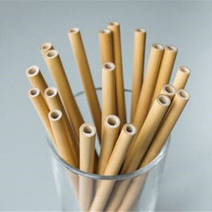 Pajitas de bambú Premium ecológicas vietnamitas, solución de bebida sostenible de alta calidad - Product Image 2