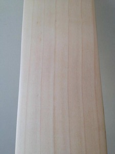 Bâtons de cricket en saule anglais de haute qualité, cousus à la main, légers et ambidextres - Product Image 3