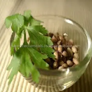 Óleo escorredor de sementes extratado de coriander de alta qualidade