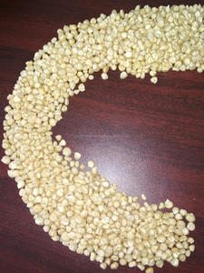 Maïs blanc sans OGM - Product Image 4