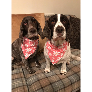 Luxury Solid Red Colorful Printed Cotton <b>Dog</b> Bandanas for <b>Dogs</b>-Comfortable Holiday Pet Outwear - Product Image 2