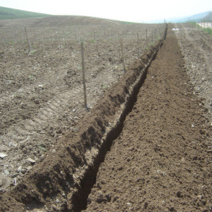 Zanjadora - Product Image 3