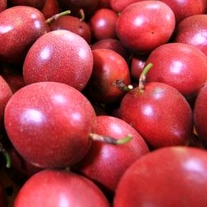 Fruits de la Passion Frais du Vietnam à Vendre - Product Image 4