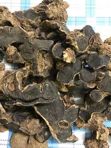 ขิงดำสด คุณภาพสูงจากเวียดนาม สำหรับเทศกาล - Product Image 5