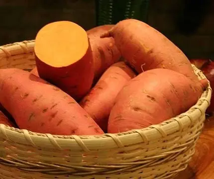 Pure Organic Sweet Potatoes/Sweet Potato Yellow、Orange、Red、Purple Skin/Fresh Sweet Potatoes