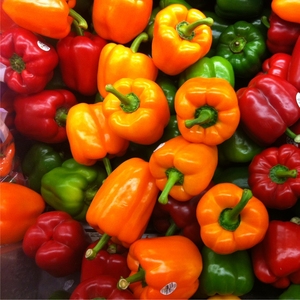 POIVRON DE CÔTE D'OR EN VENTE EN GROS, QUALITÉ EXPORT, EN 2020 - Product Image 5