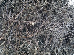 เยลลี่หญ้าแห้ง - Product Image 5