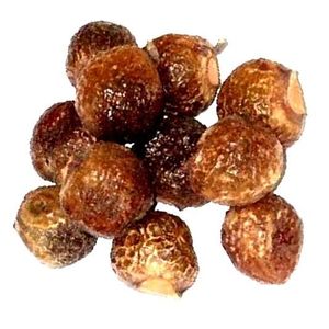 Extracto de tuerca de jabón vietnamita, cantidad - Product Image 1