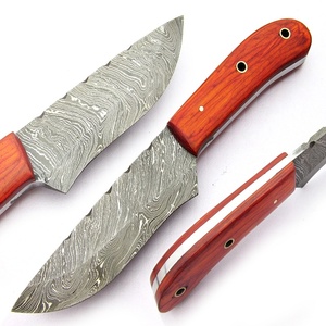Cuchillo de caza de Damasco hecho a mano, hoja de dólar aw11, Sm - Product Image 1