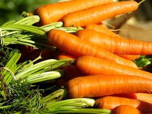 CAROTTE FRAICHE DE QUALITE EXPORT A BON PRIX - Product Image 6