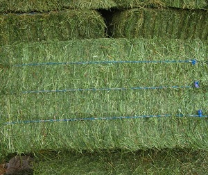 หญ้าทิโมธีสำหรับสัตว์ บรรจุในห่อละ 20-25 กิโลกรัม - Product Image 3