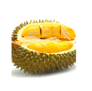 Durian instantáneo polvo de fruta en polvo - Product Image 1