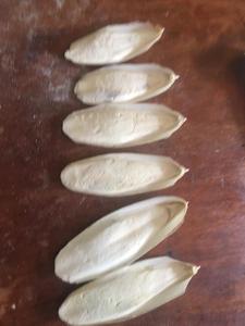 Acheter des fruits de mer Os de seiche/Os de seiche au meilleur prix au Vietnam - Product Image 4