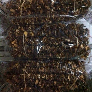 Champignon de forêt séché au japon, vin allemand, meilleur prix - Product Image 3