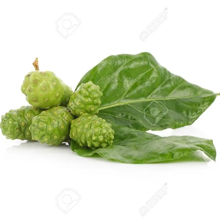 Succo di frutta Noni fresco/Noni/succo di Citrifolia Morinda