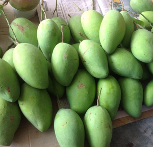 Mango Fresco de Vietnam/Mango Amarillo Suave 2021 - Product Image 5