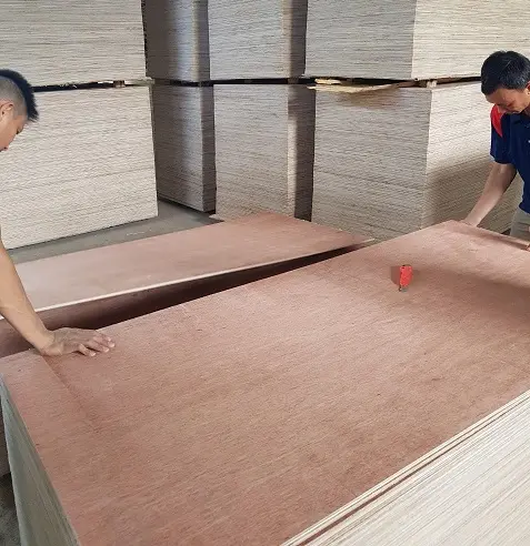 6-24mm thickness vietnam manufacturer face AA BB okume white face birch competitive price commercial plywood