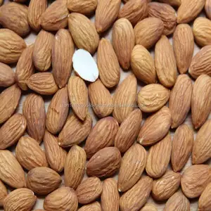 Raw almond nuts specifications for price sale bahrain for de dried food and grade almond common raw grade aa haccp