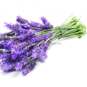 น้ำมันหอมระเหยลาเวนเดอร์บริสุทธิ์ 100% สำหรับการบำบัดด้วยกลิ่นหอมและดูแลผิว กลิ่นหอมหวาน JANVI HERBS เหมาะสำหรับทุกสภาพผิว - Product Image 2