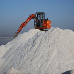 Proveedor a Granel de Sal Yodada Refinada, Empaquetado en Bolsas de 25 kg/50 kg, Envase de Plástico, Frasco, Botella, Producto en Polvo de Cloruro (NaCl) - Product Image 2