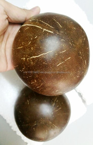 Moderno Tazón de Cáscara de Coco Natural de Vietnam |   Proveedor al por Mayor de Productos Ecológicos Hechos a Mano y No Tóxicos - Alex Truong - Product Image 6