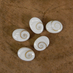 Pierre précieuse naturelle en coquille d'œil de Shiva, cabochon ovale de 16x12 mm, sertissage de bijoux, pierre précieuse - Product Image 1