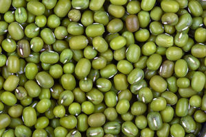 Venta al por Mayor de Frijoles Mung de Primera Calidad y Frijoles Mung Verdes Secos con Cáscara, Origen Sudáfrica, Paquete de 50 kg - Product Image 4