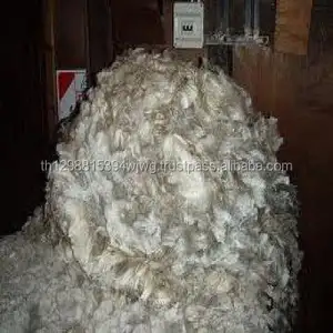 ราคาต่ำสุดเส้นใยขนสัตว์สีขาว/เส้นด้ายเสีย,ขนสัตว์80%-100%,32-40mic, 50-70มม.,สีขาวดิบ - Product Image 1