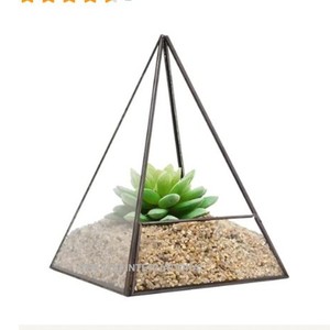 Décoration de terrarium - Product Image 1