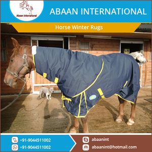 ขายส่งม้าฤดูหนาวพรมและ Combo - Product Image 3