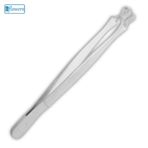 Pince à épiler Beauty Holding pour un toilettage et une amélioration efficaces - Product Image 1