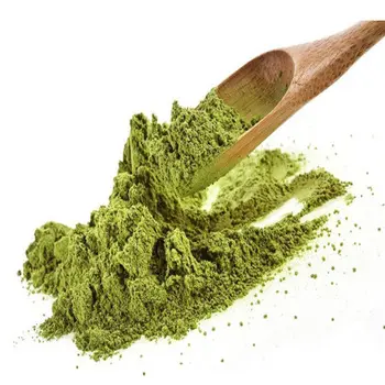 Manufacturer Natural Henna Powder for hair coloring from India - Cassia Obovata