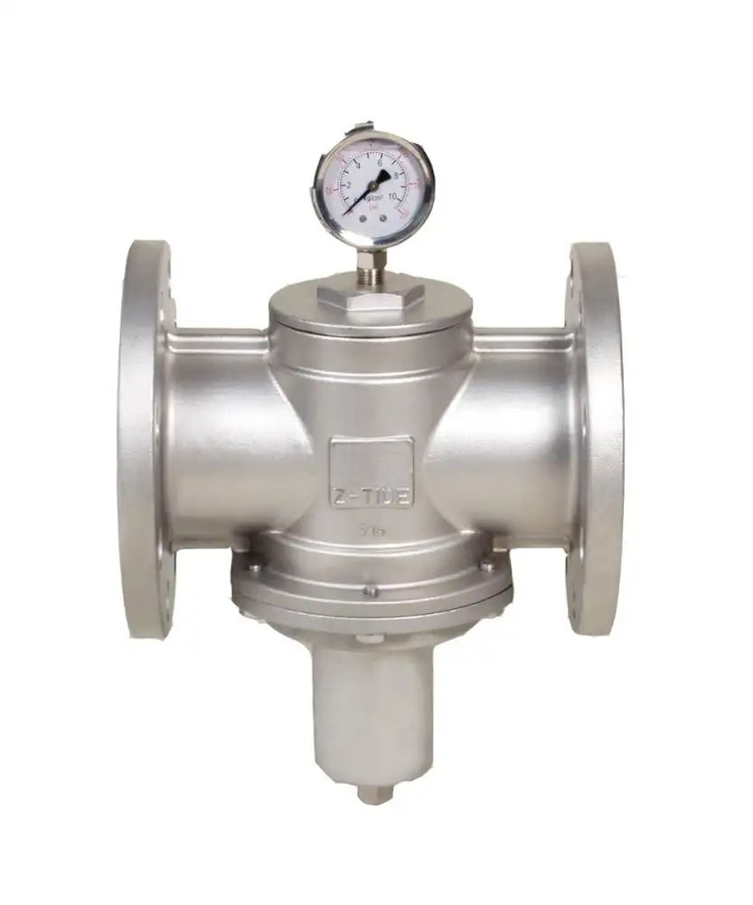 Direct Acting Type Back Pressure Valve Made in Taiwan Stainless Steel