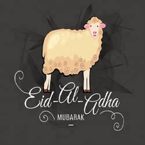 ALIBABA, MEILLEUR FOURNISSEUR DE CHARBON DE BOIS POUR BARBECUE, CHARBON DE BOIS NATUREL EN MORCEAUX POUR BARBECUE AU KUWAIT - Product Image 1