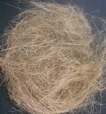 FIBRE DE COCO faible humidité en balles - HAUTE QUALITÉ Fibre de coco naturelle FABRIQUÉE EN 100% COQUILLE DE COCO - Product Image 6