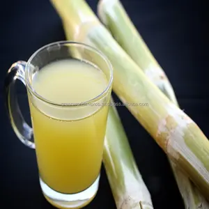 SWEET FRESH/ FROZEN SUGAR CANE WITH BEST COMPETITIVE PRICE