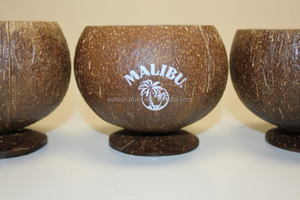 2024 Summer New Release Eco-Friendly Coconut Shell Ceramic Glass Tea Cups Saucers Hot Sale Included <b>Spoon</b> for Salad <b>Ice</b> <b>Cream</b> - Product Image 6