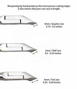 ที่ตัดหนังกำพร้าแบบมืออาชีพ แบบสปริงคู่ ขนาด 12, 14, 16 และแบบเต็มปาก พร้อมด้ามจับที่มีการยึดเกาะที่สมบูรณ์แบบ ตกแต่งด้วยด้ามจับโดย Life Care Instruments - Product Image 3