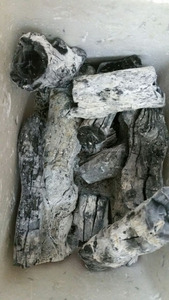 ถ่านขาวคุณภาพสูงจากเวียดนาม (คุณฮอลิเดย์) - Product Image 6