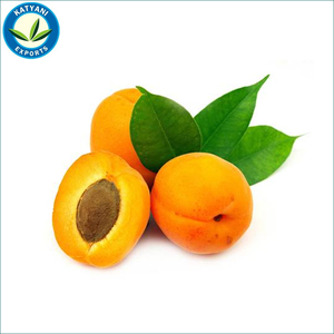Fabricant et exportateur d'approvisionnement en gros naturel pur d'huile de noyau d'abricot biologique de qualité supérieure avec marque privée disponible - Product Image 1