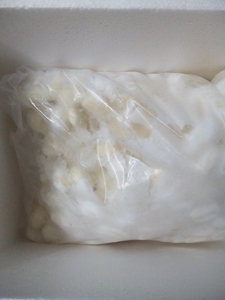 Meilleur prix pour les châtaignes d'eau fraîches surgelées IQF en provenance du VIETNAM 2024 - Product Image 5