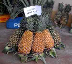 Piña fresca Ananas frescas vacaciones - Product Image 6