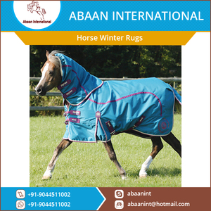 Alfombra de Invierno para Caballos al por Mayor, 1200 Denier, Relleno de 200 GSM/300 GSM, Logotipo Personalizado - Product Image 2