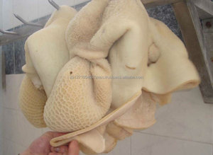 Tripes de veau de haute qualité Omasum de boeuf congelé | Tripes de boeuf congelées en gros prix et emballage premium - Product Image 4