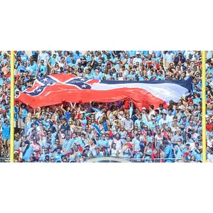 任何尺寸的体育场额外人群大横幅巨大的旗帜和横幅为人群冲浪