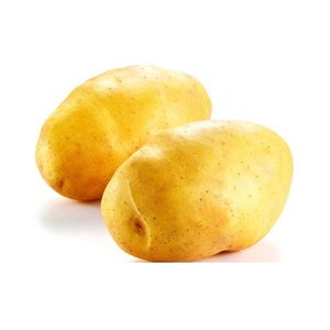 High Quality <b>Potato</b> From Viet Nam - Product Image 2