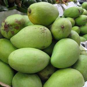 มะม่วง / ผลไม้มะม่วงสด / มะม่วงแคทชู - Product Image 2