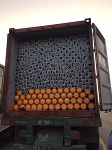 Lona de PE Azul de 45 g/m² Exportada a Japón - Product Image 6